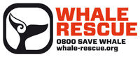 Whale-Rescue